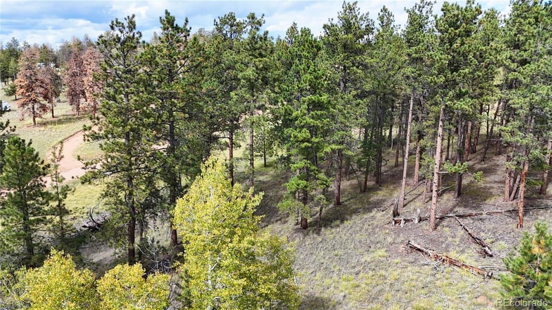 2265 Vagabond Creek Dr, Lake George, CO 80827