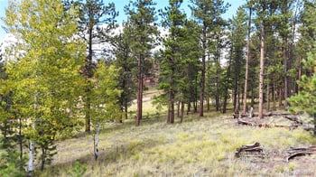 2265 Vagabond Creek Dr, Lake George, CO 80827