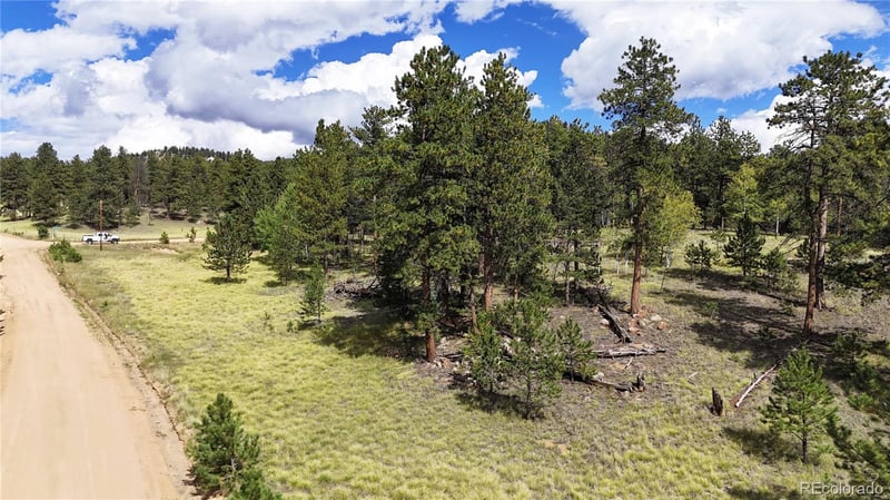 2265 Vagabond Creek Dr, Lake George, CO 80827