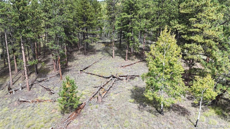 2265 Vagabond Creek Dr, Lake George, CO 80827