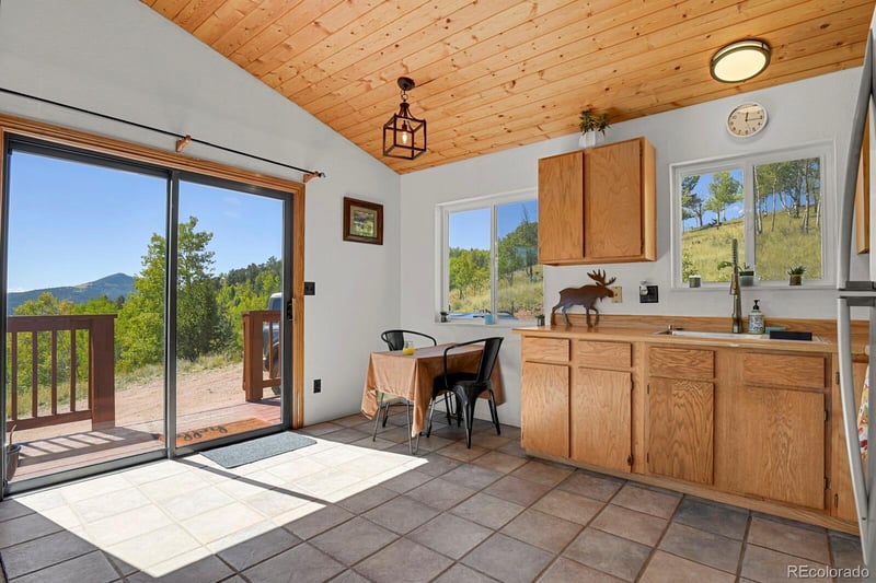 498 Granite Ln, Cripple Creek, CO 80813