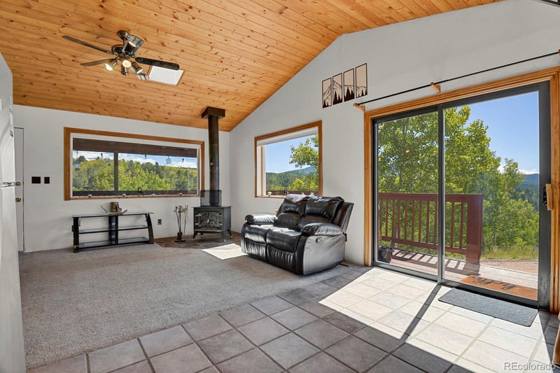 498 Granite Ln, Cripple Creek, CO 80813