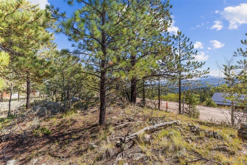 000 Mockingbird Trl, Bailey, CO 80421