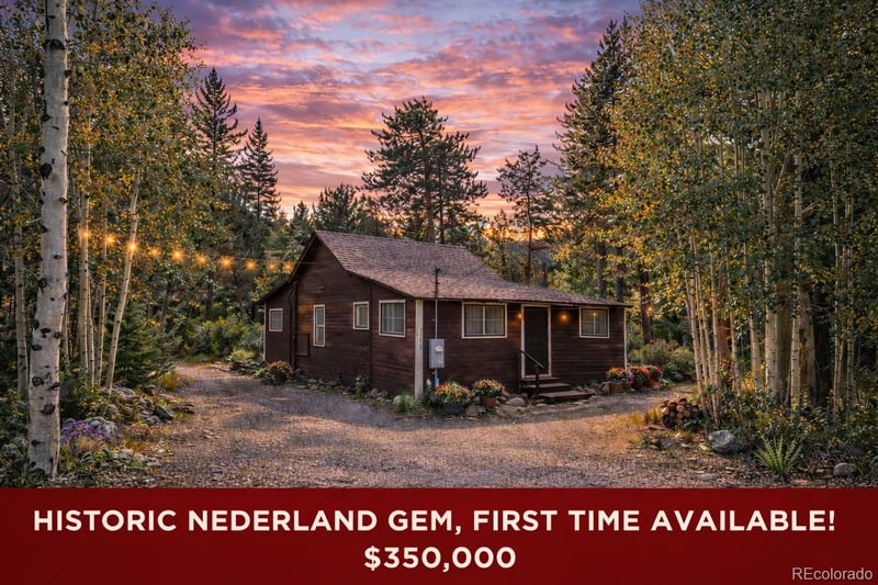 550 Breed St, Nederland, CO 80466