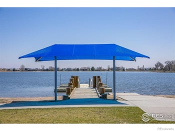 597 Red Jewel Dr, Windsor, CO 80550