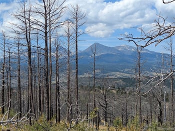 349 Macnaughton Dr, Fort Garland, CO 81133