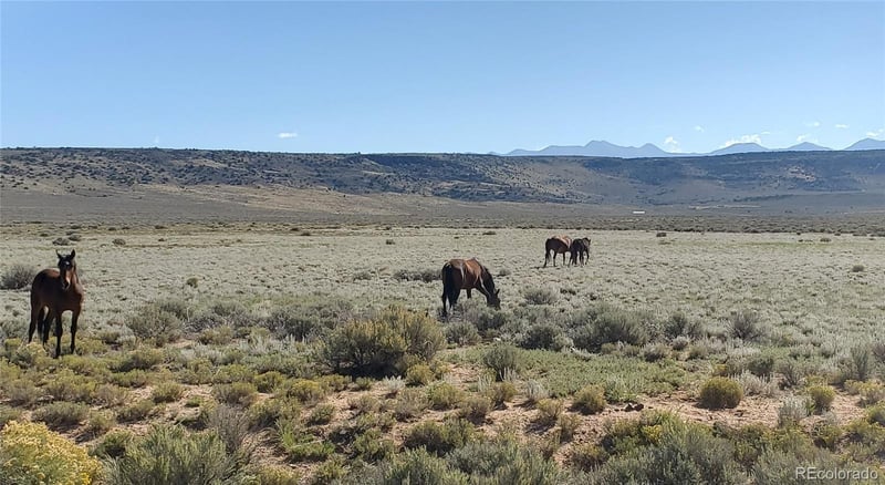 Tbd 154 Ac Vacant Land Lot SW4 of sec 1-2-73, San Luis, CO 81152
