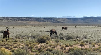 Tbd 154 Ac Vacant Land, San Luis, CO 81152