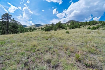 00 Witcher Mountain Rd, Guffey, CO 80820