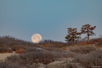 13079 Whisper Canyon Rd, Castle Pines, CO 80108