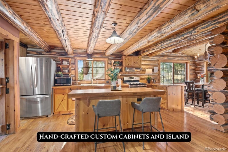 1889 Burland Dr, Bailey, CO 80421