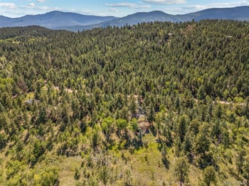 1889 Burland Dr, Bailey, CO 80421