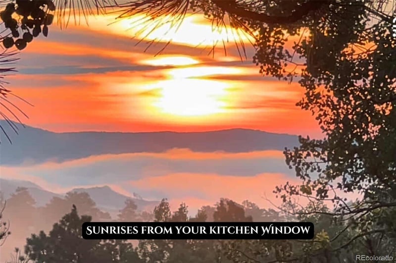 1889 Burland Dr, Bailey, CO 80421