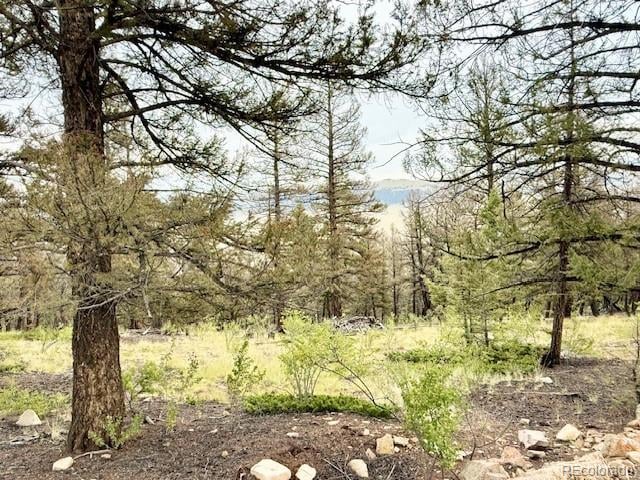 0 Middle Fork Vi, Fairplay, CO 80440