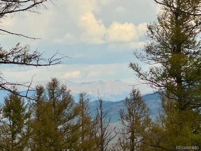 Middle Fork Vi Lot 256, Fairplay, CO 80440