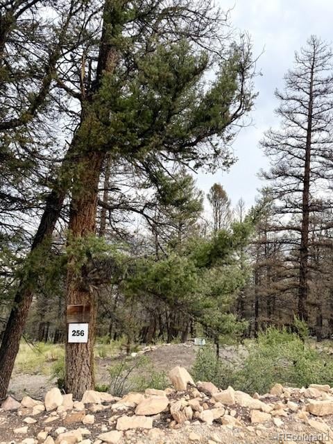 Middle Fork Vi Lot 256, Fairplay, CO 80440