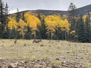 45950 Rainbow Trl, Villa Grove, CO 81155