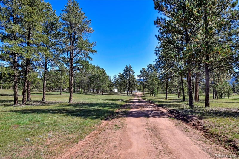 5155 Painted Rocks Rd, Woodland Park, CO 80863