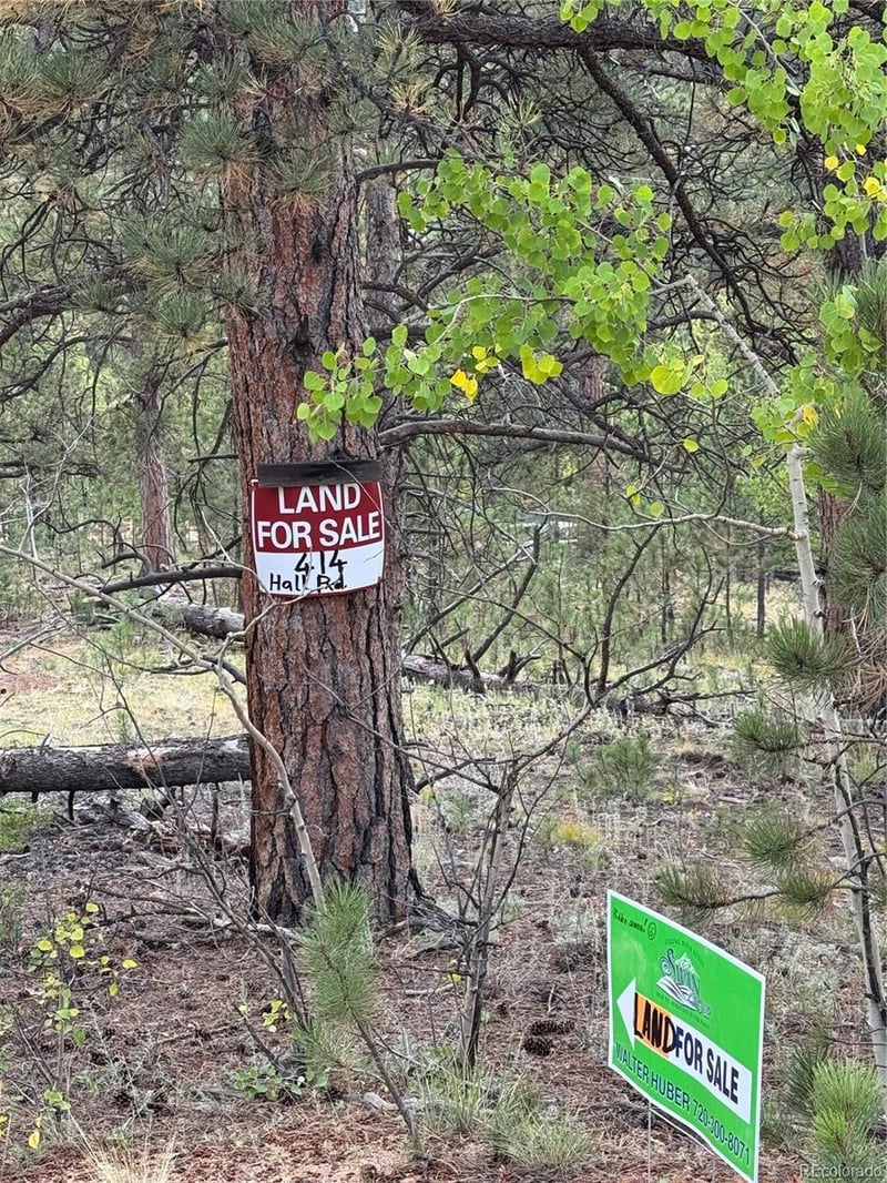 414 Hall Rd, Bailey, CO 80421
