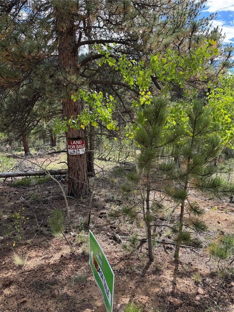 414 Hall Rd, Bailey, CO 80421