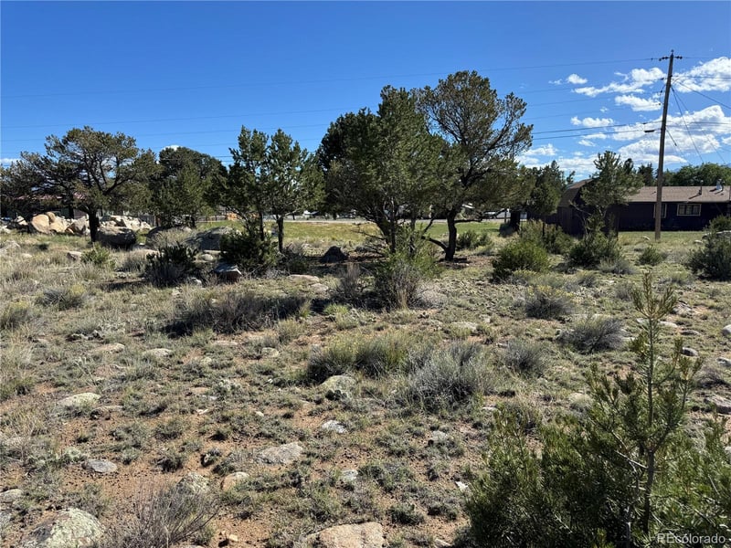 324 Crossman Ave, Buena Vista, CO 81211