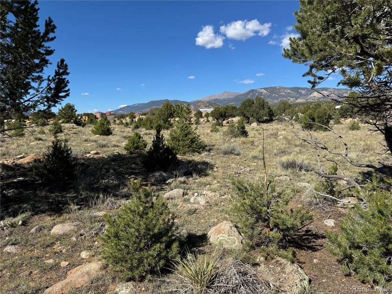 324 Crossman Ave, Buena Vista, CO 81211