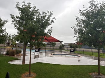 3904 Sweetgum St, Wellington, CO 80549