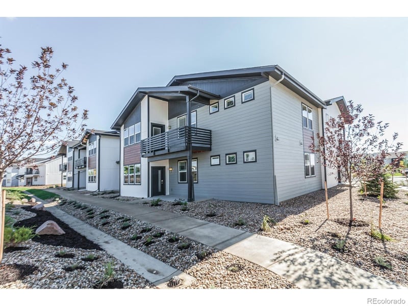 1825 Bounty Dr, Windsor, CO 80550