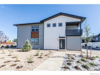1825 Bounty Dr, Windsor, CO 80550
