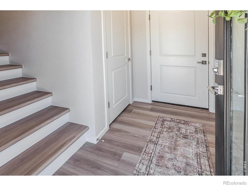 1825 Bounty Dr, Windsor, CO 80550