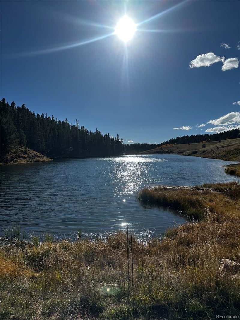 458 Spruce Lake Dr, Divide, CO 80814