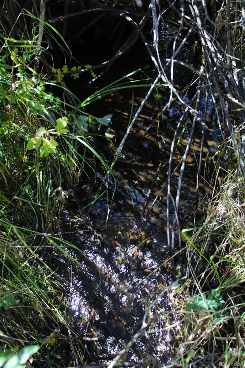 6500 Cr 5 , Divide, CO 80814