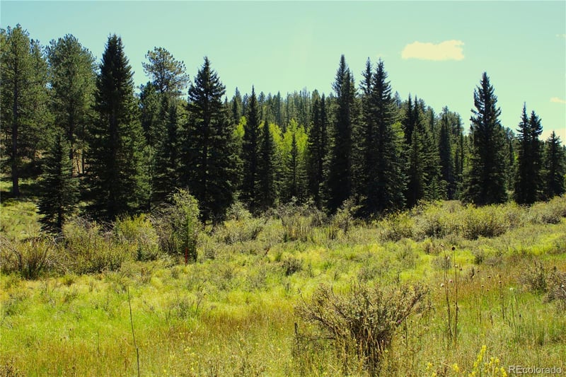 6500 Cr 5 , Divide, CO 80814