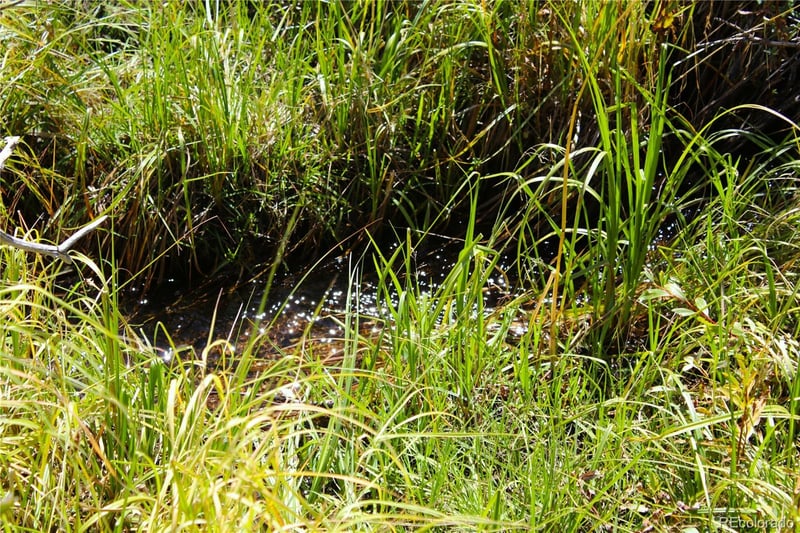 6500 Cr 5 , Divide, CO 80814