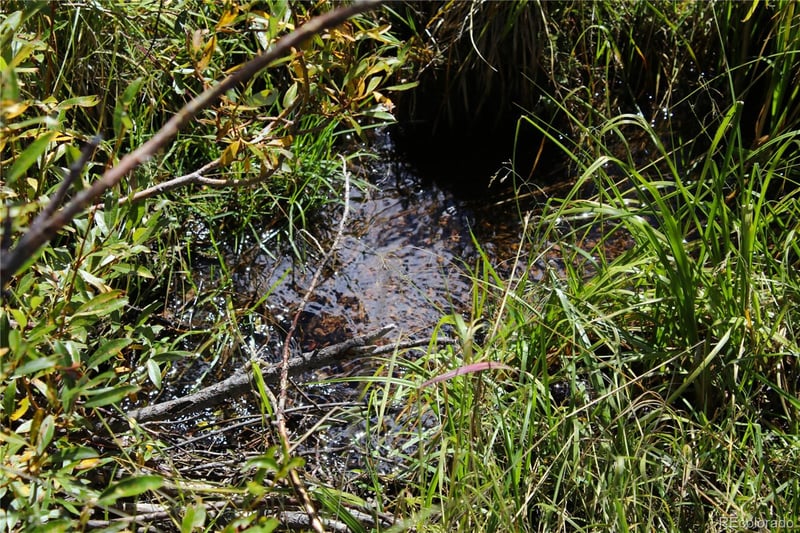 6500 Cr 5 , Divide, CO 80814