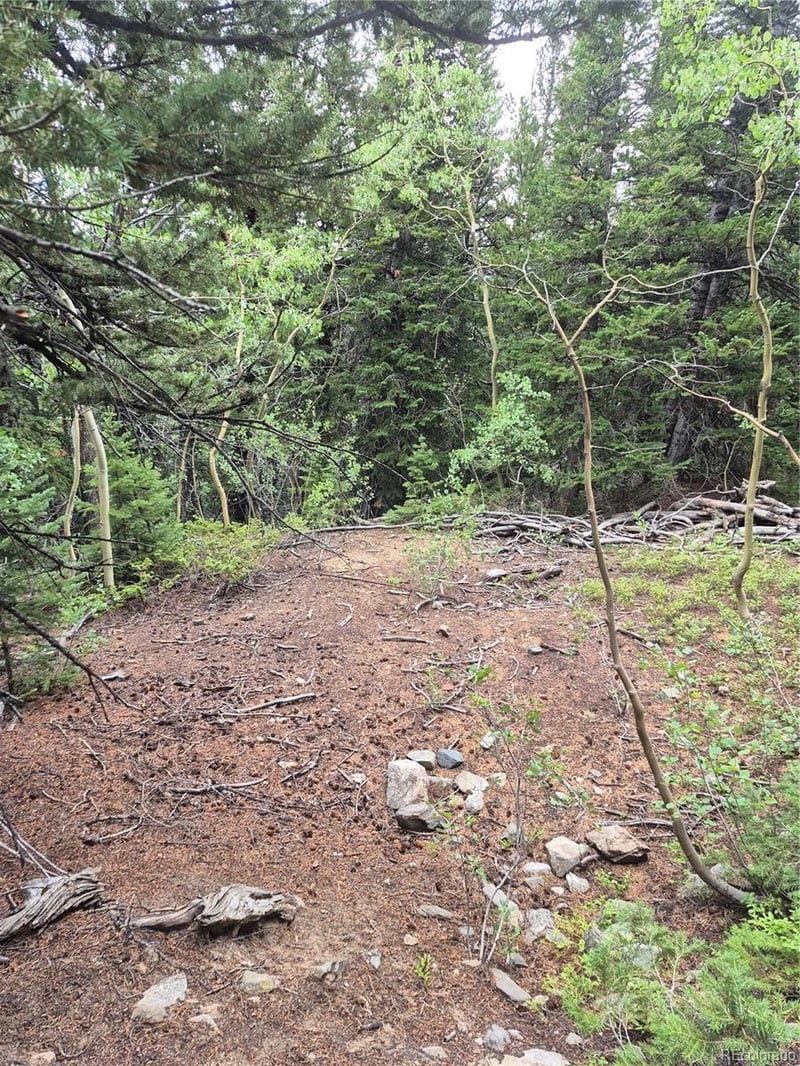 1900 County Road 128j, Nederland, CO 80466