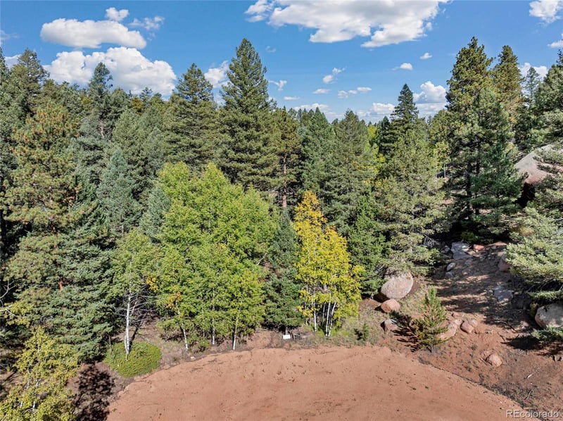 926 Pinon Ln, Florissant, CO 80816