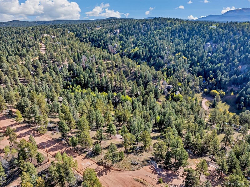 926 Pinon Ln, Florissant, CO 80816