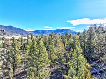 62 Grand Ln, Hartsel, CO 80449