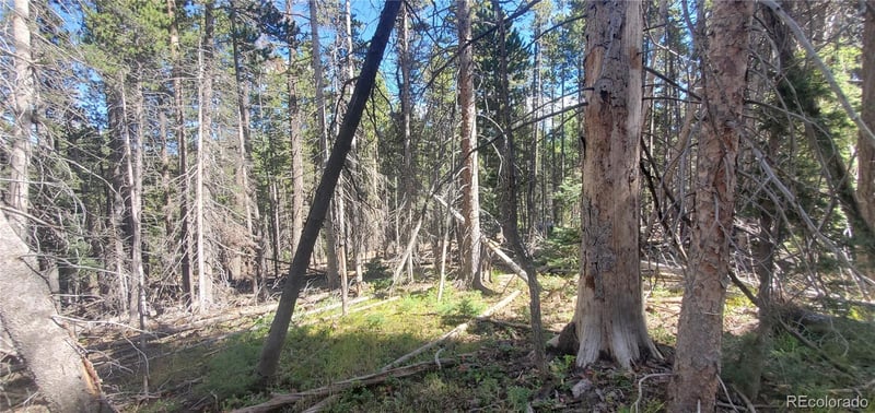 Lot 3427 Grojean Dr, Fort Garland, CO 81133