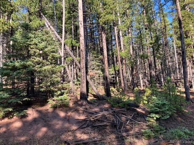 Lot 3427 Grojean Dr Lot 3427, Fort Garland, CO 81133