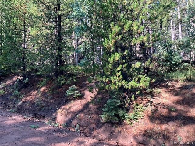 Lot 3427 Grojean Dr Lot 3427, Fort Garland, CO 81133