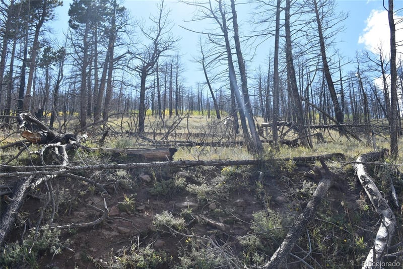Soubry Pl Lot 495, Fort Garland, CO 81133