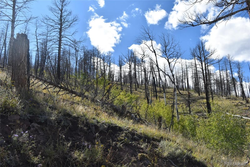 Soubry Pl Lot 495, Fort Garland, CO 81133