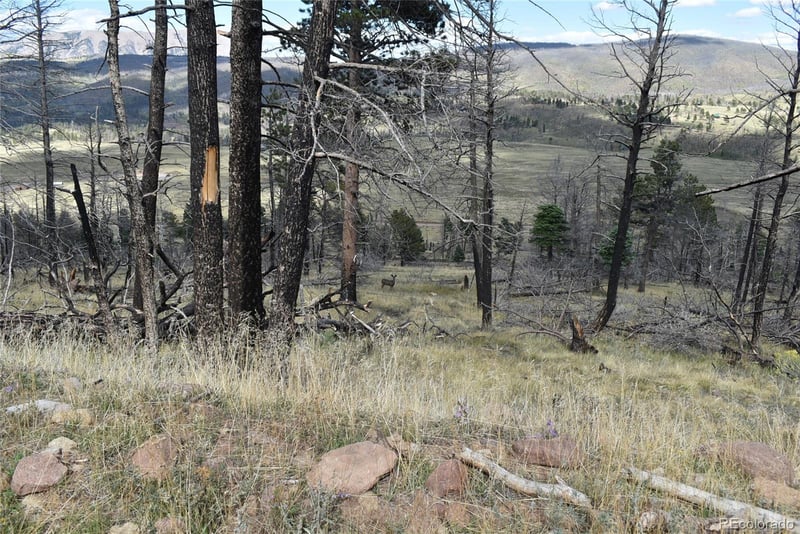 Soubry Pl Lot 495, Fort Garland, CO 81133