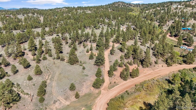 163 Valley View Dr, Florissant, CO 80816