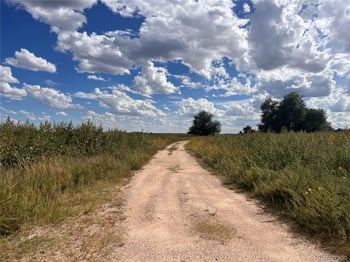 1160 Immel St, Limon, CO 80828