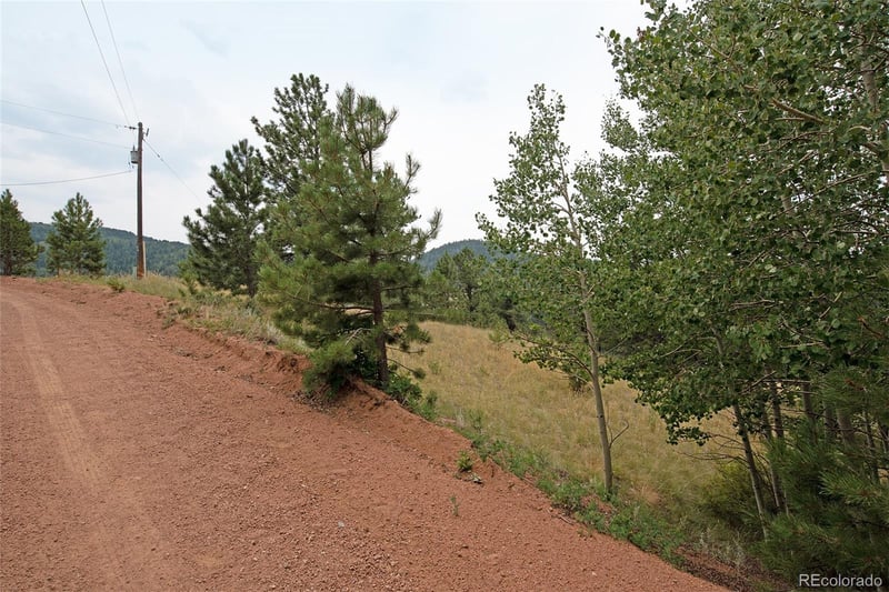 726 Copper Mountain Dr, Cripple Creek, CO 80813