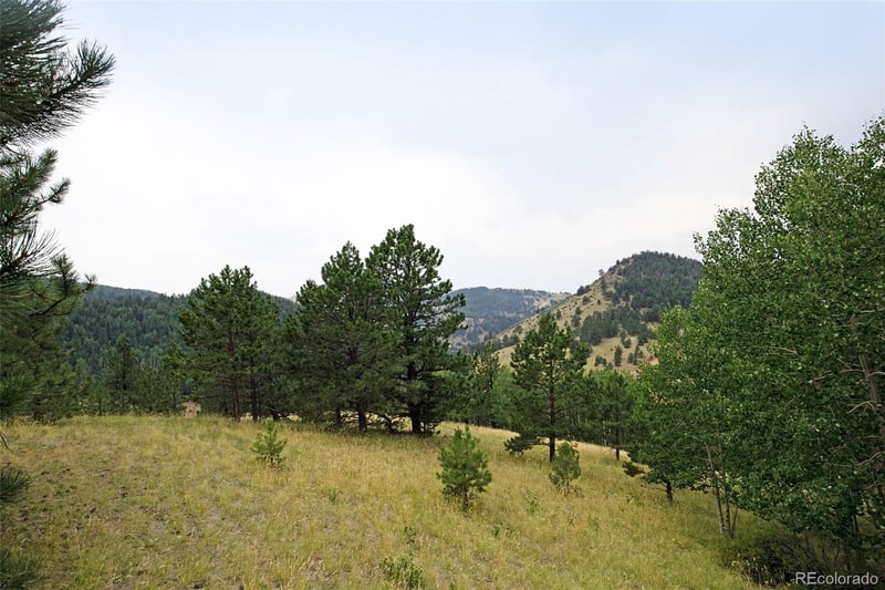 726 Copper Mountain Dr, Cripple Creek, CO 80813