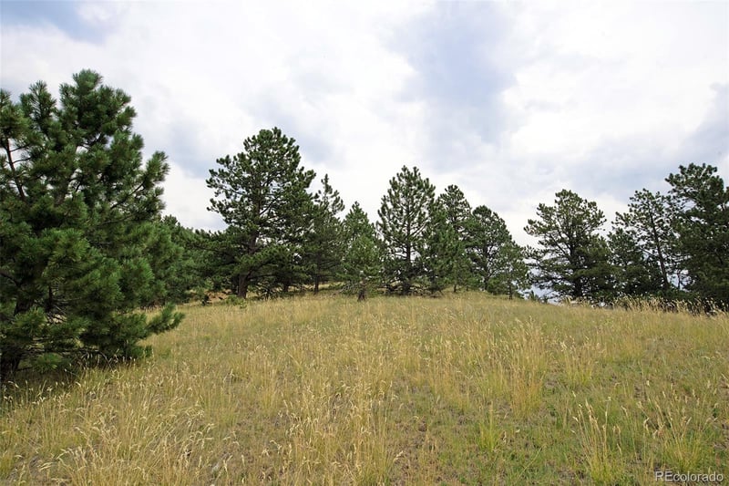 726 Copper Mountain Dr, Cripple Creek, CO 80813